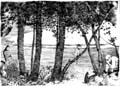 bresdin